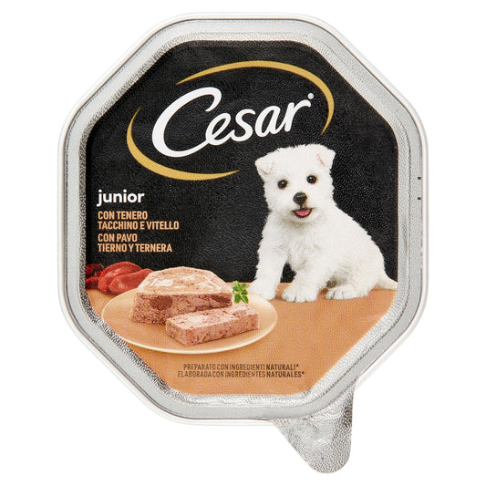 Cesar Junior Cibo Umido Cane in Vaschetta con Tenero Tacchino e Vitello 150 g