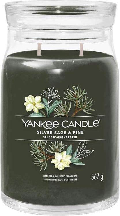 Yankee Candle Signature - Giara grande Silver Sage & Pine