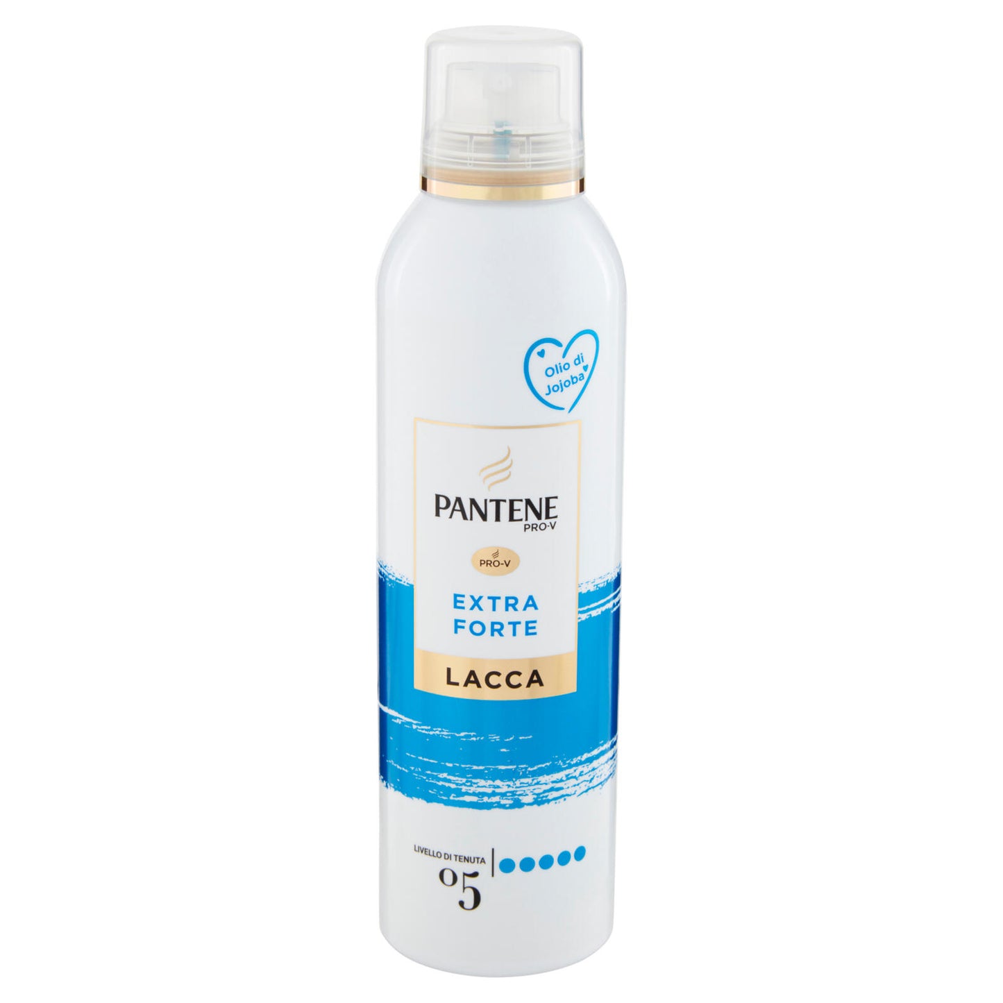 Lacca Ten Fles Pantene