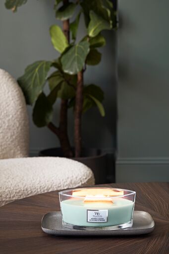 Woodwick - Candela Ellipse Sagewood & Seagrass