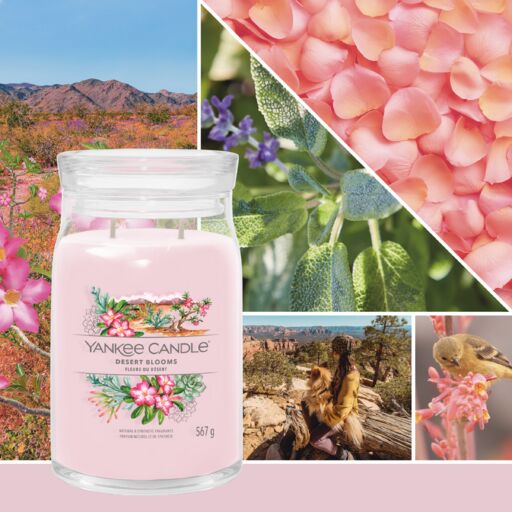 Yankee Candle Signature - Giara grande Desert Blooms