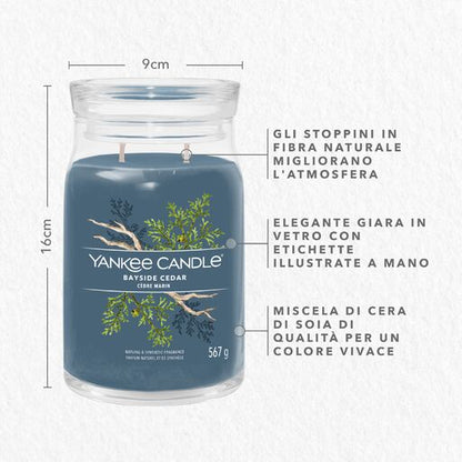 Yankee Candle Signature - Giara Grande Bayside Cedar